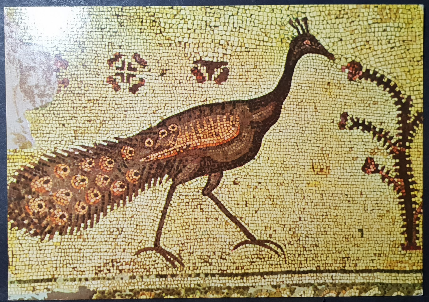 (image for) postcard Israel #0013